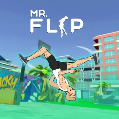 Mr Flip Mr Flip